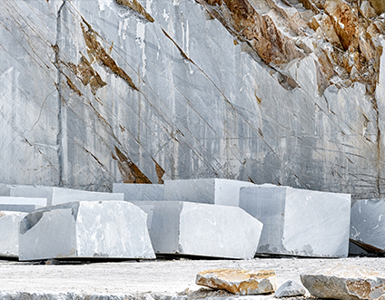 জিয়াংসু Xinyesheng ভাস্কর্য কোং, লি.